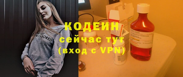 ПСИЛОЦИБИНОВЫЕ ГРИБЫ Ельня