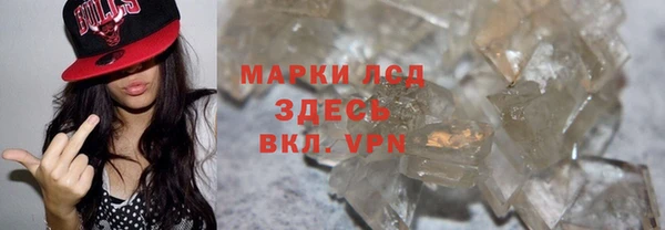ПСИЛОЦИБИНОВЫЕ ГРИБЫ Ельня