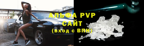 ПСИЛОЦИБИНОВЫЕ ГРИБЫ Ельня