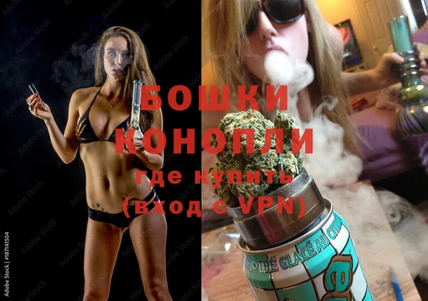 ПСИЛОЦИБИНОВЫЕ ГРИБЫ Ельня