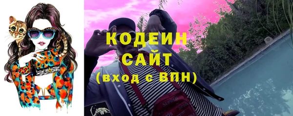 ПСИЛОЦИБИНОВЫЕ ГРИБЫ Ельня