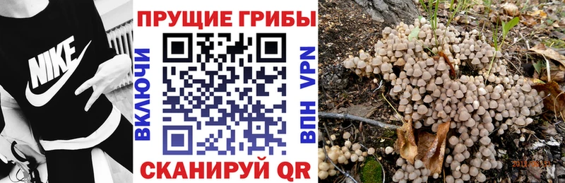 Псилоцибиновые грибы MAGIC MUSHROOMS  наркошоп  MEGA маркетплейс  Можга 